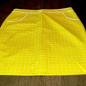 The Limited - Never worn skirt